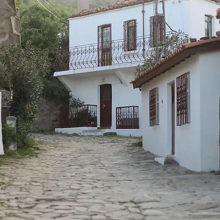 Zeydali