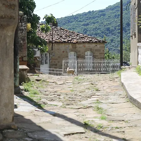 Hotel Zeydali 2*